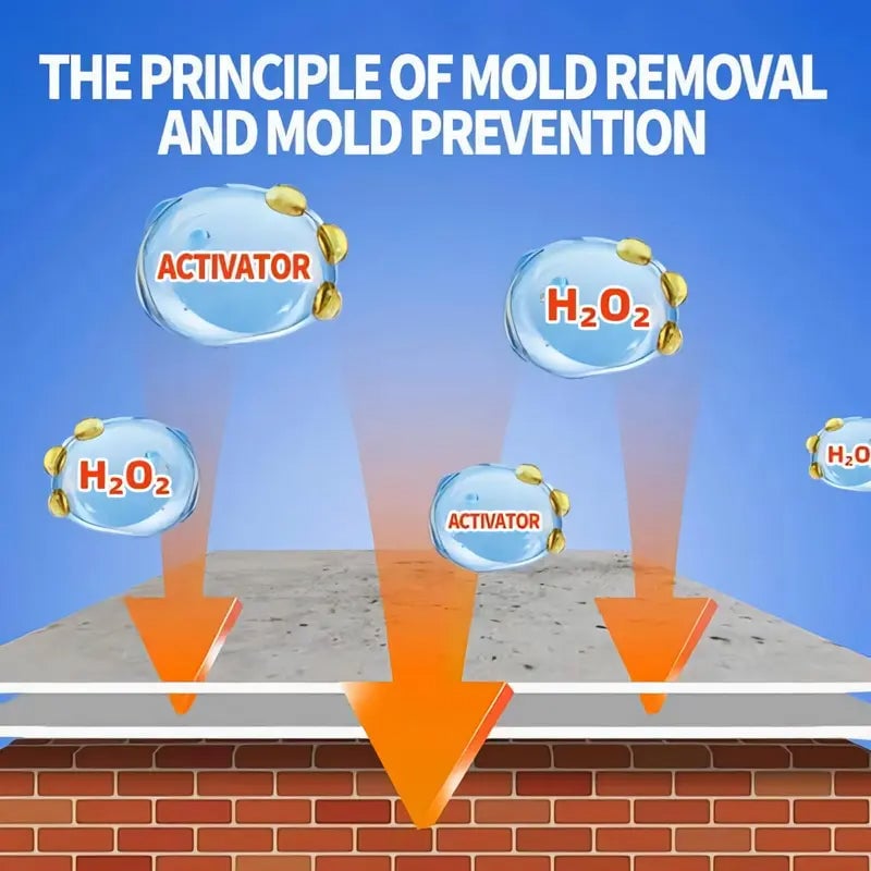 Sale20-Fast Acting Anti-Mold Wall Cleaner Spray