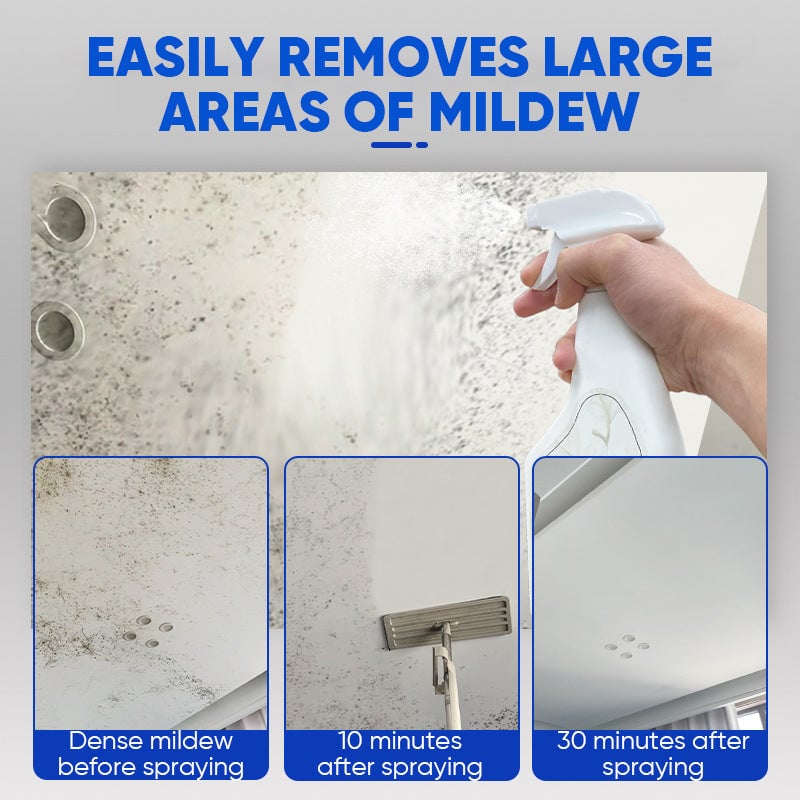 Sale20-Fast Acting Anti-Mold Wall Cleaner Spray